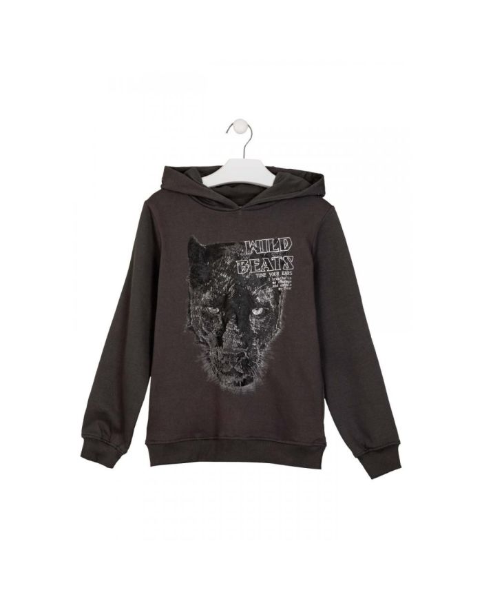 Oferta sudadera con capucha niño Losan 🔴 22F-6650AL
