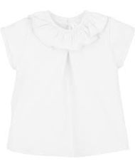 ÚLTIMAS UNIDADES ​🟡​​ Camisa titán Manga corta Calamaro 15015