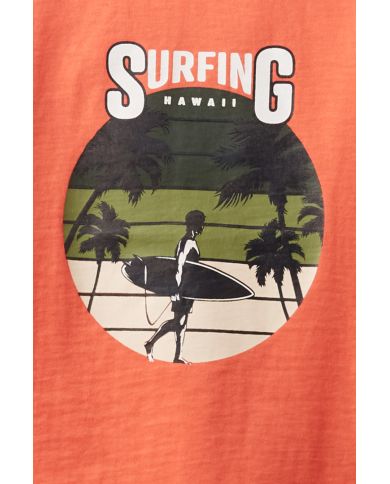 Camiseta niño manga corta Street Monkey 245051