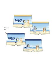 Boxer baño Bluey EZ18110